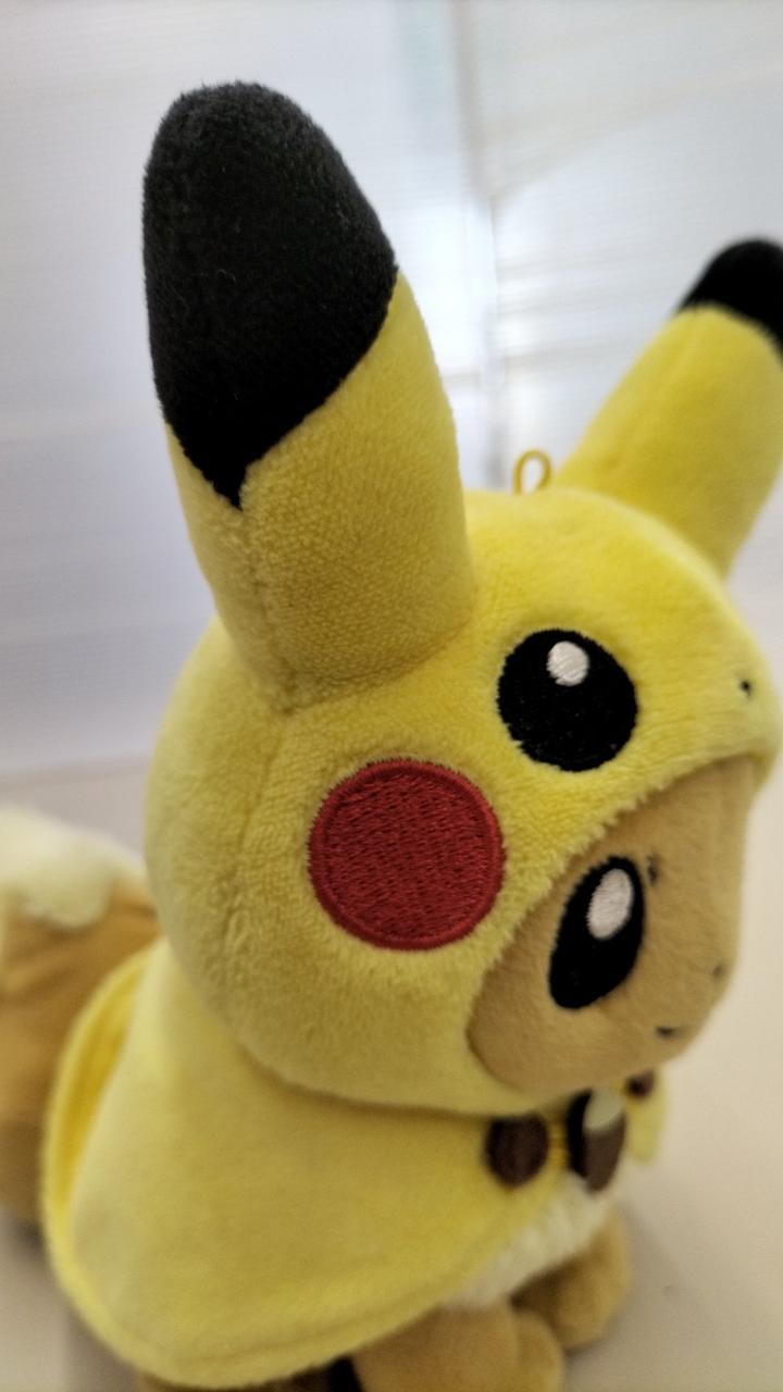 ポケモンセンター|ピカチュウポンチョのイーブイ|【ハードオフ公式通販