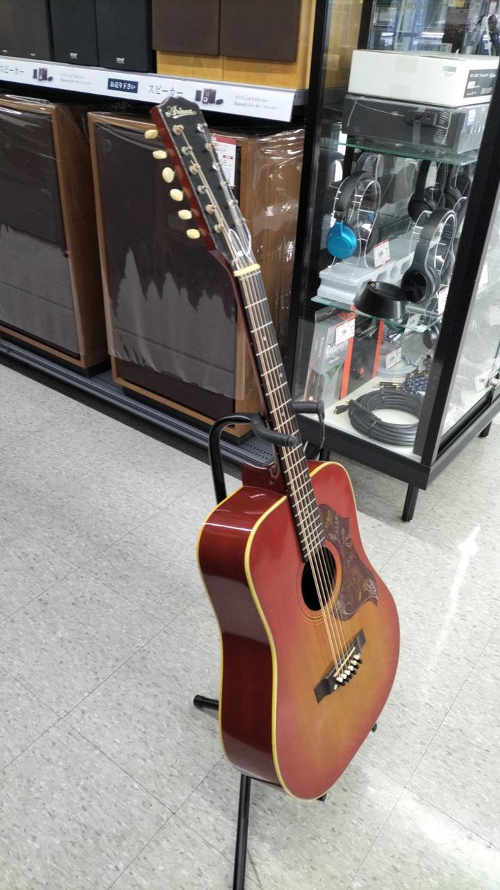 ARIANA|12弦ギター|【ハードオフ公式通販】オフモール|2013950000026321