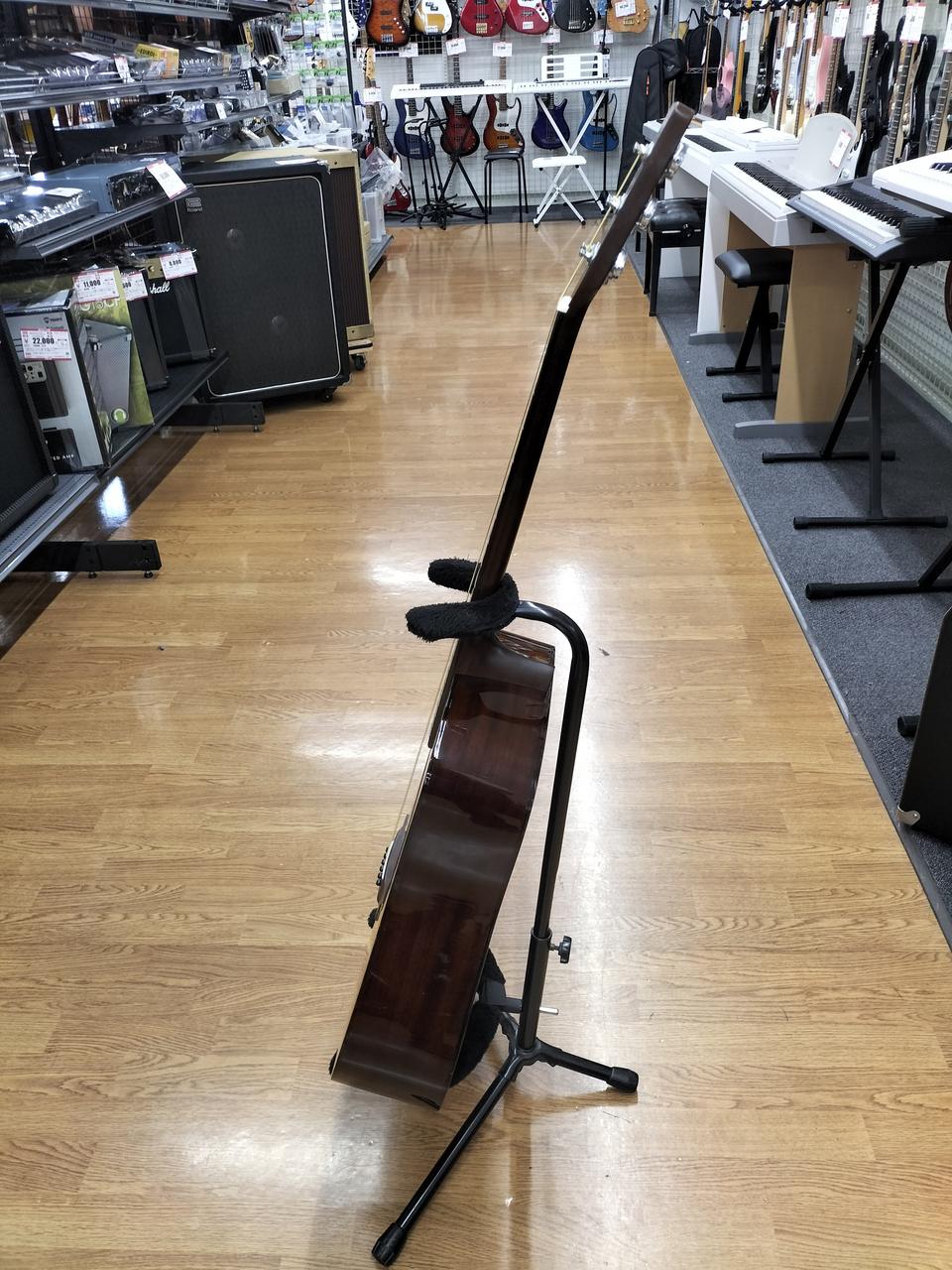 キャッツアイ(CAT'S EYES)|アコースティックギター|【ハードオフ公式