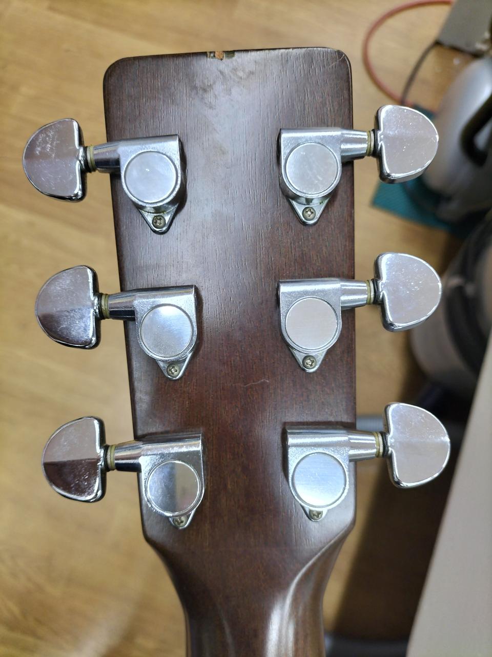 キャッツアイ(CAT'S EYES)|アコースティックギター|【ハードオフ公式