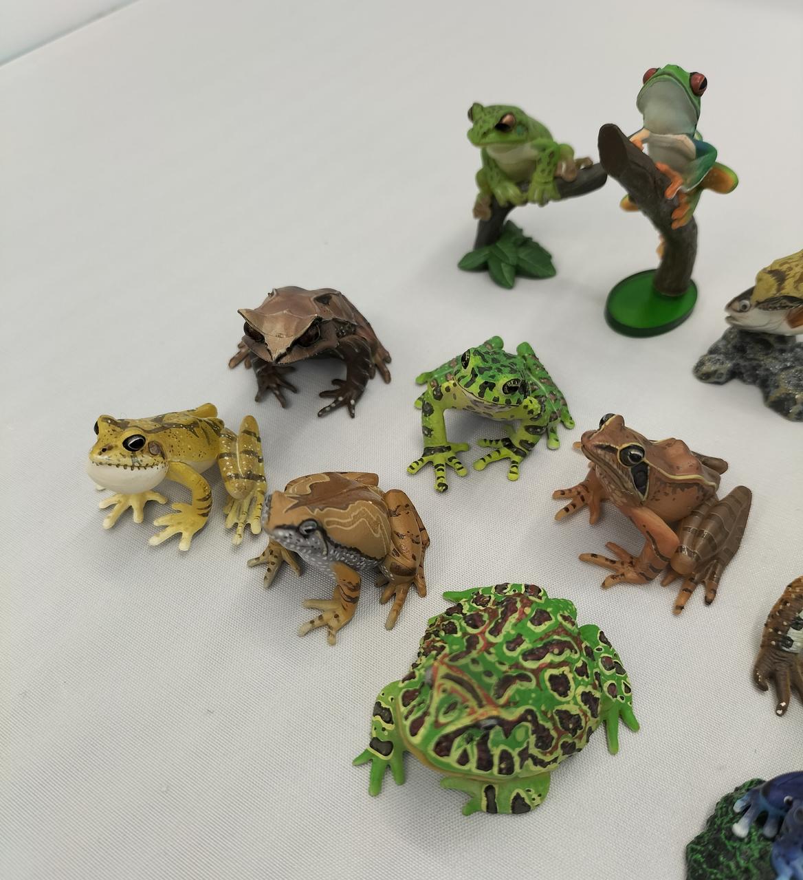 ユージン|原色両生類カエル図鑑[新改訂版]|【ハードオフ公式通販】オフ