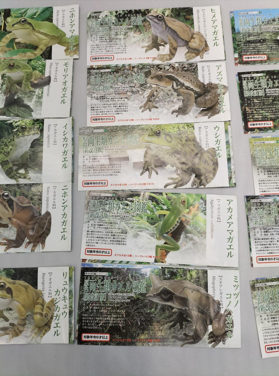 ユージン|原色両生類カエル図鑑[新改訂版]|【ハードオフ公式通販】オフ