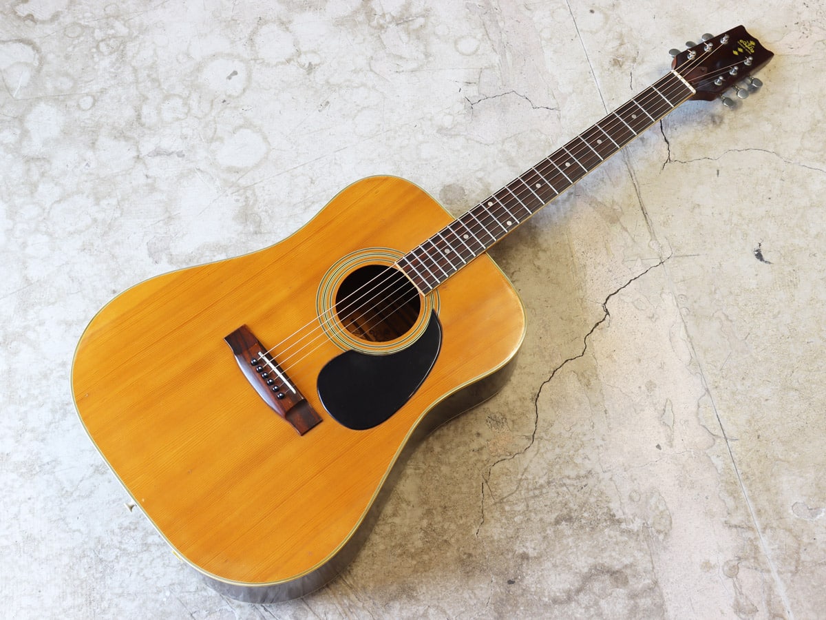 中古】Takeharu Guitar WT-150 - 神奈川県の中古楽器店 パプリカ