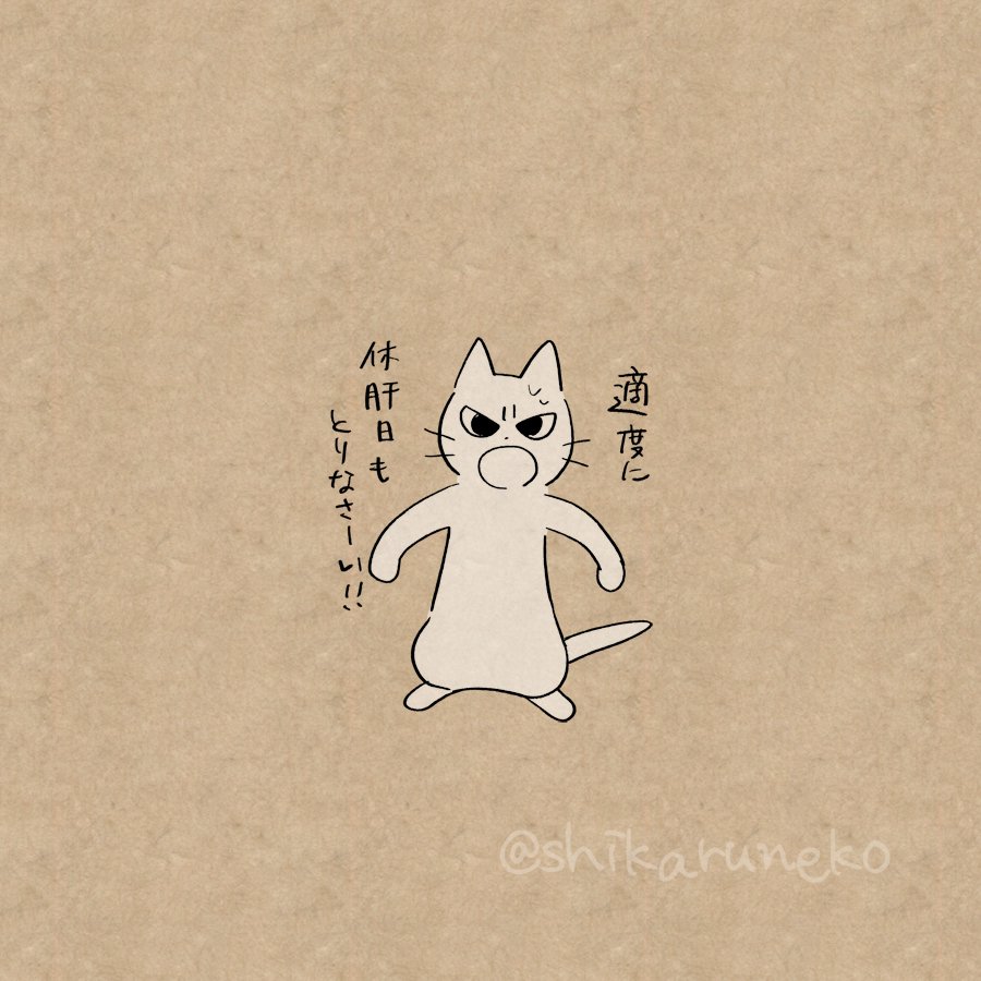 毎日のようにお酒を飲む人を叱ってくれる猫