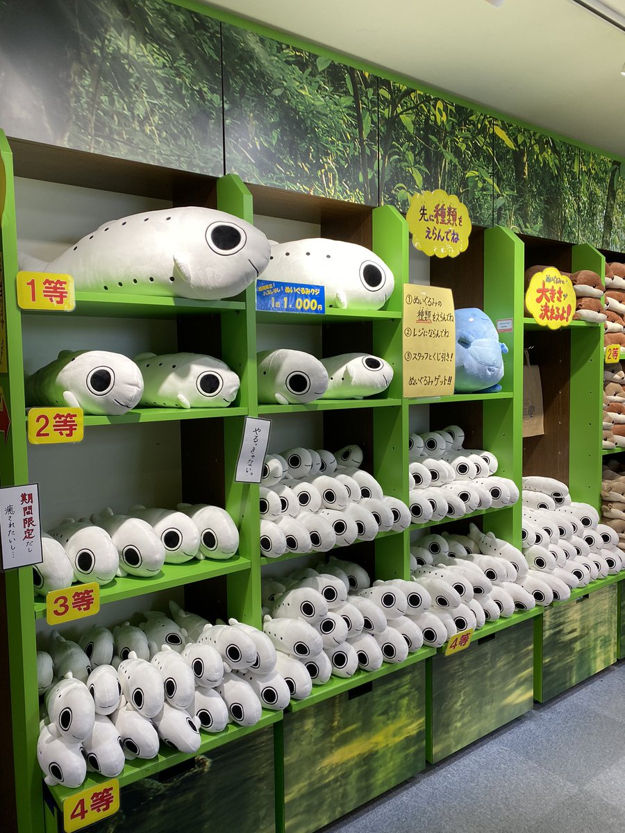 新江ノ島水族館ぬいぐるみくじ シラス！！ 4等2匹
