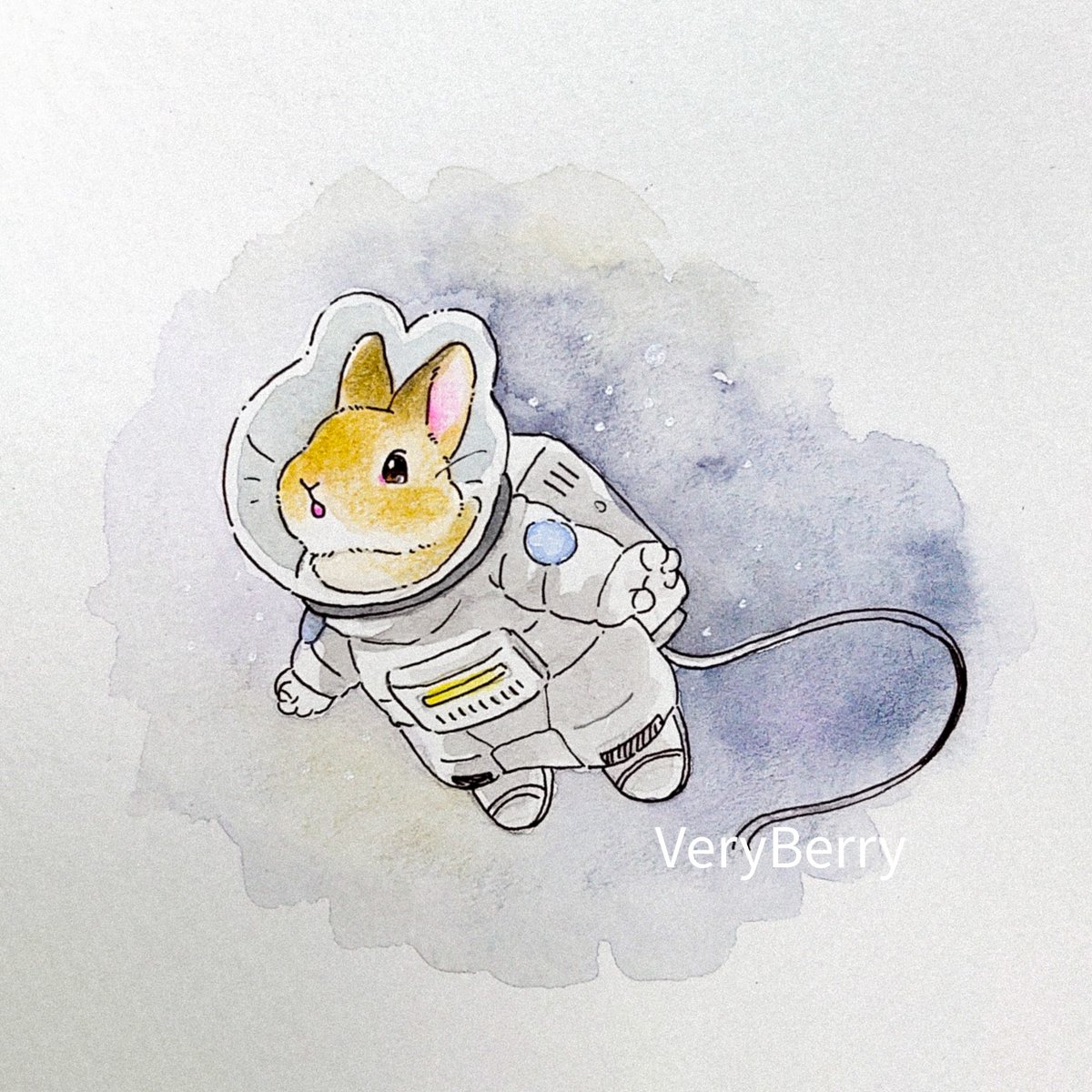 世界初！！ 宇宙飛行士うさぎさん🚀✨