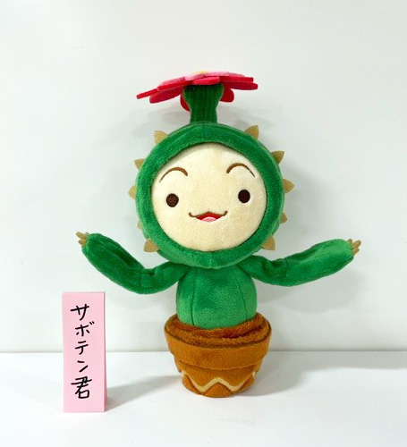 先日予約開始しました『聖剣伝説 レジェンド オブ マナ コレクターズ