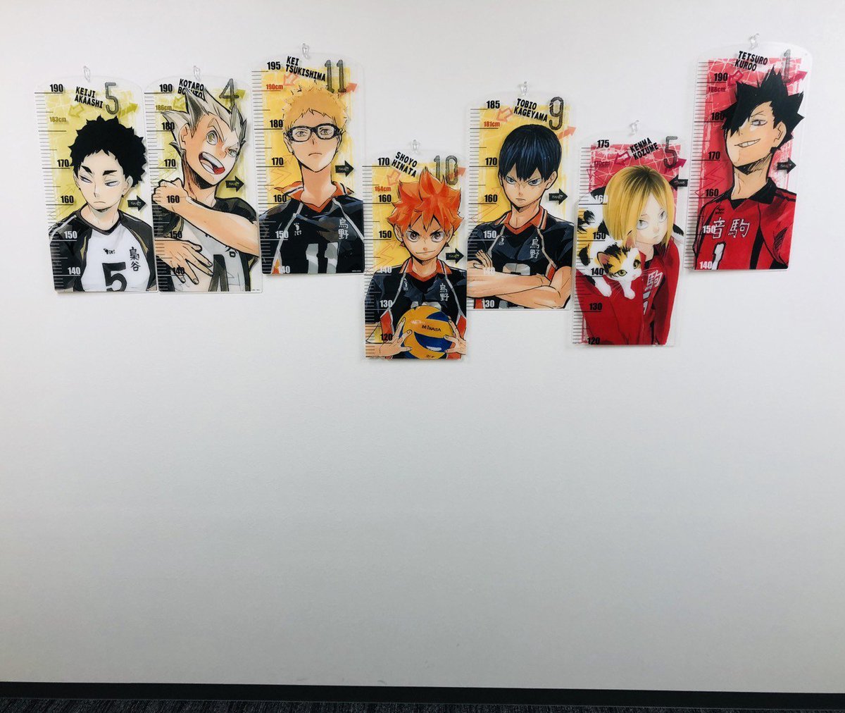 ➀ ハイキュー！！ 月島蛍 アクリル身長計 受注生産品