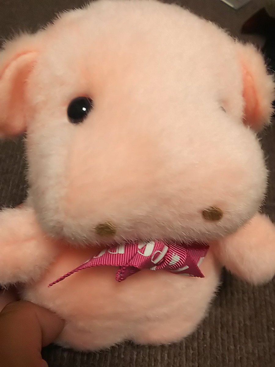 EcrpemfUwAA6Flw.jpg?format=jpg