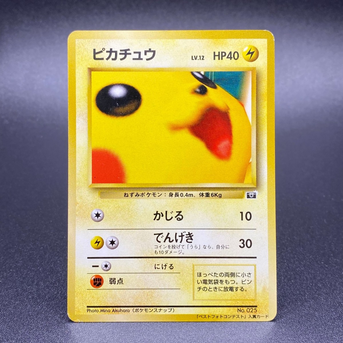 ✨委託販売情報✨】 な、なんと！本日、ピカチュウ ポケモンスナップを