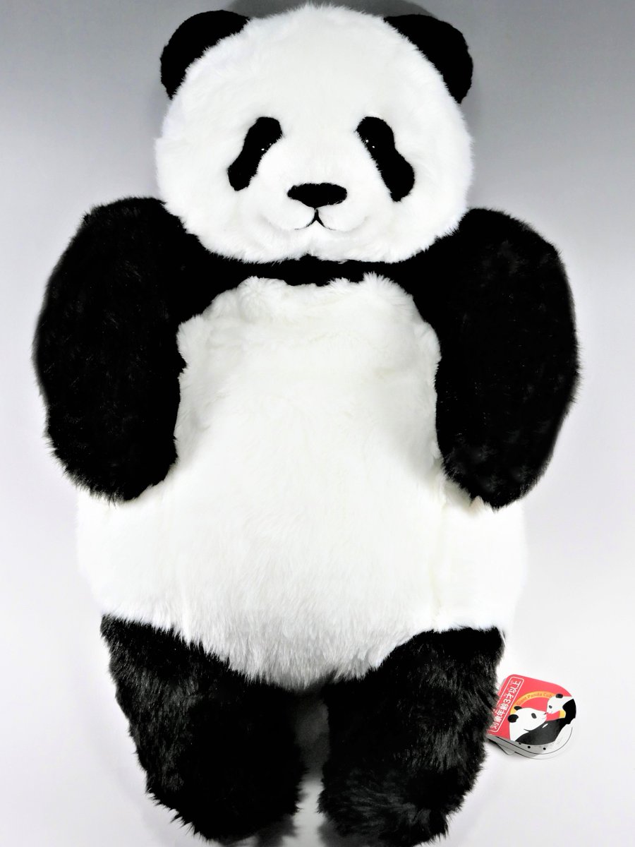 FyOMMrdaIAAGNED.jpg?format=jpg