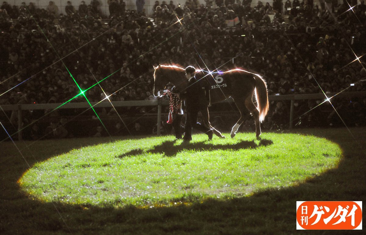 本日はオルフェーヴルの生誕日。 2013年12月22日、8馬身差で