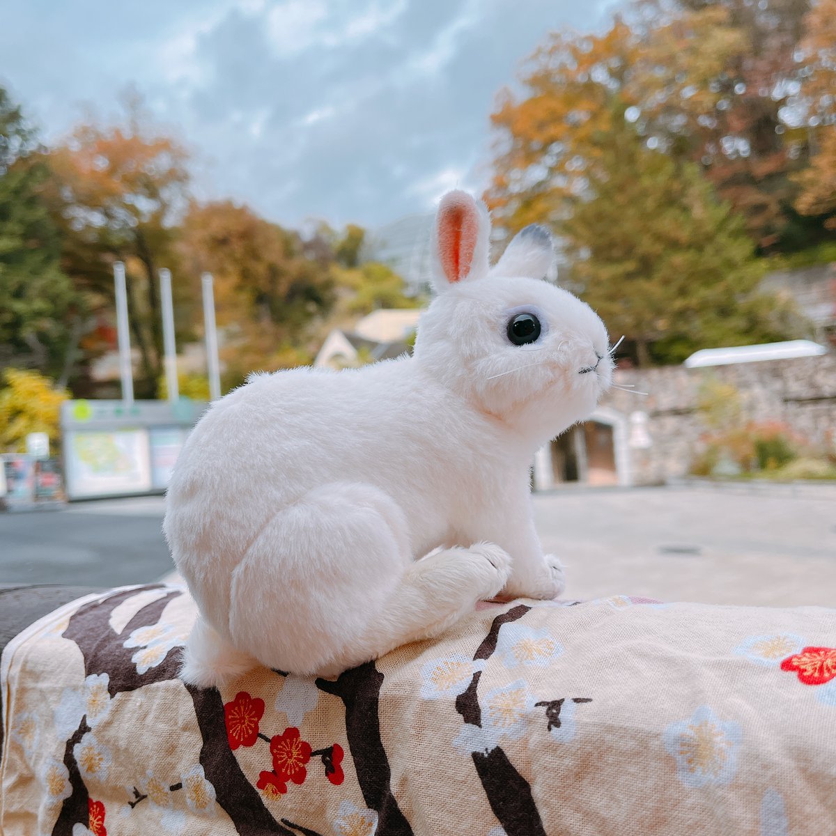 毎年恒例！ 2023年 干支ぬいぐるみ ウサギ 1540円（税込み） 販売開始