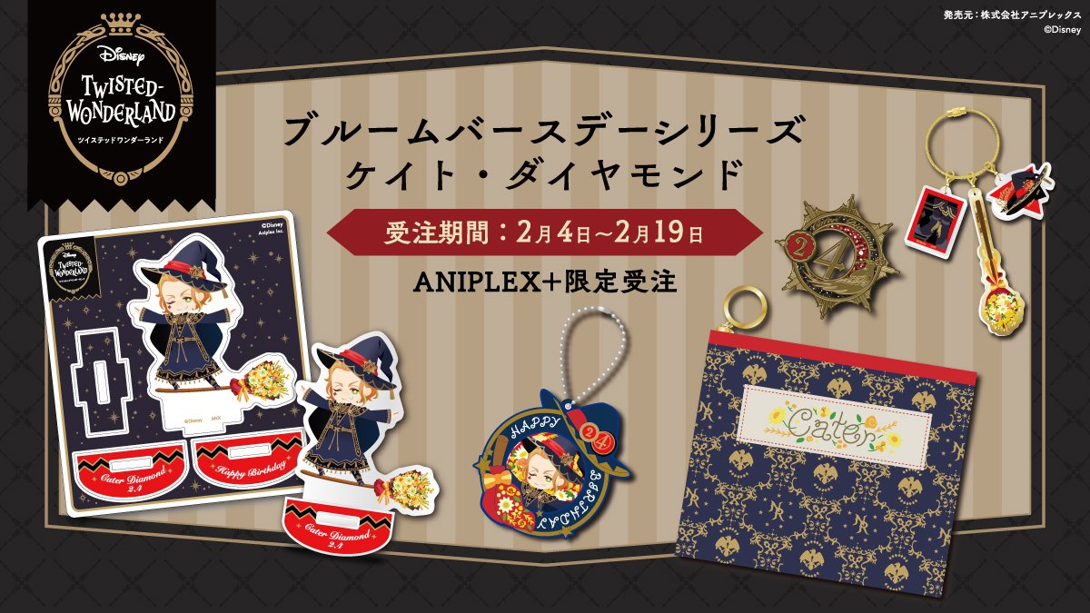 ⋱✨受付開始✨⋰ ￣￣￣￣￣￣ 『ディズニー ツイステッド