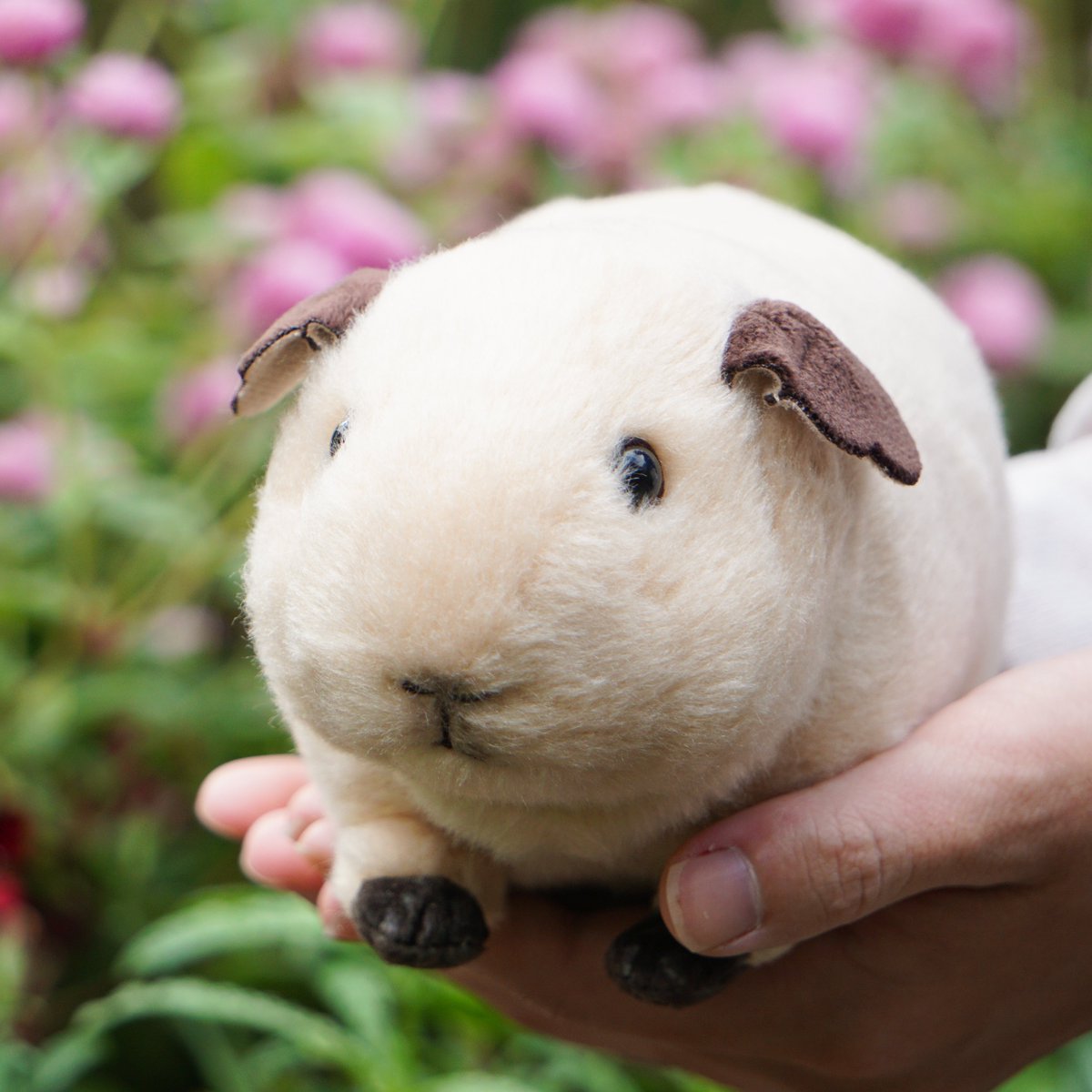 プイっと鳴く！モルモットのぬいぐるみ／ ついに毛並みタイプにまで