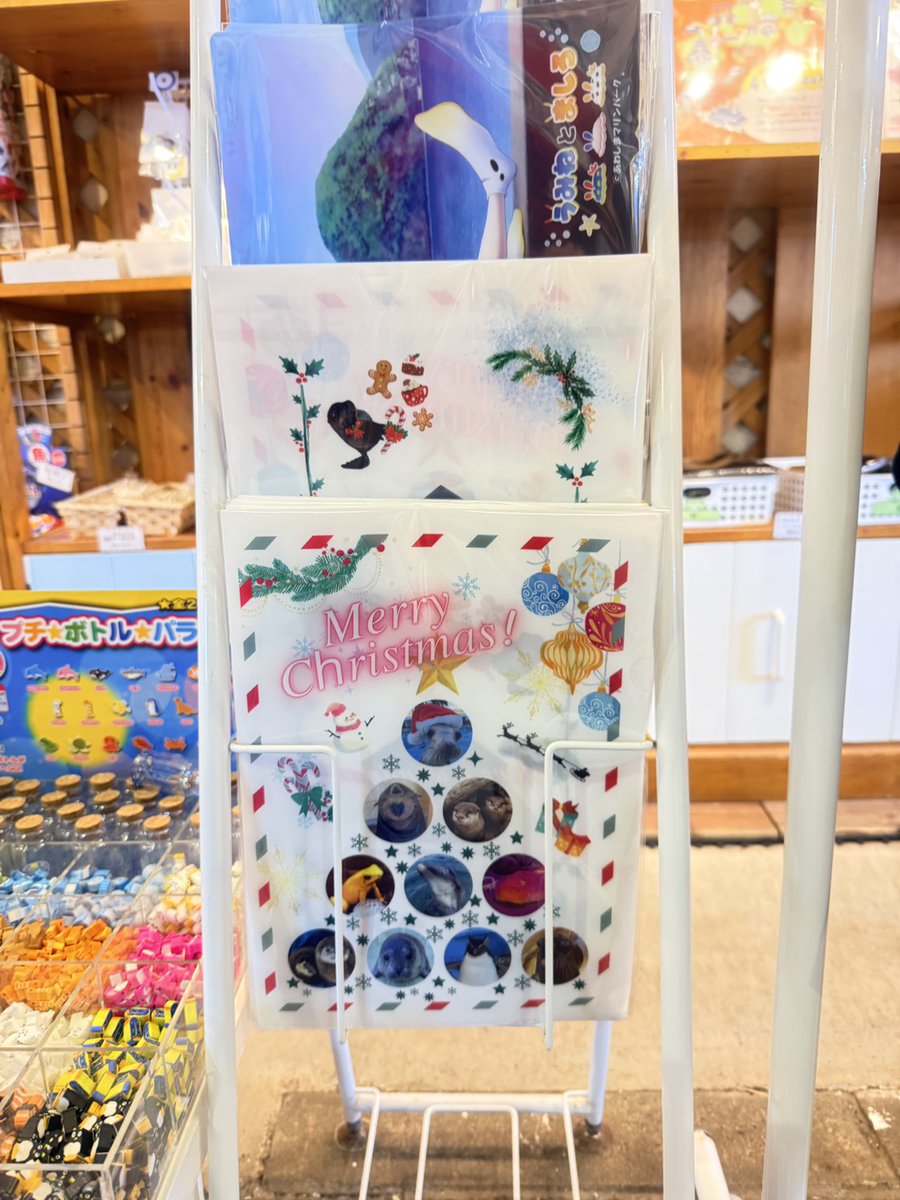 🦦🎅 限定グッズ情報🎁🐧 飼育スタッフがデザインした、 あわしまの