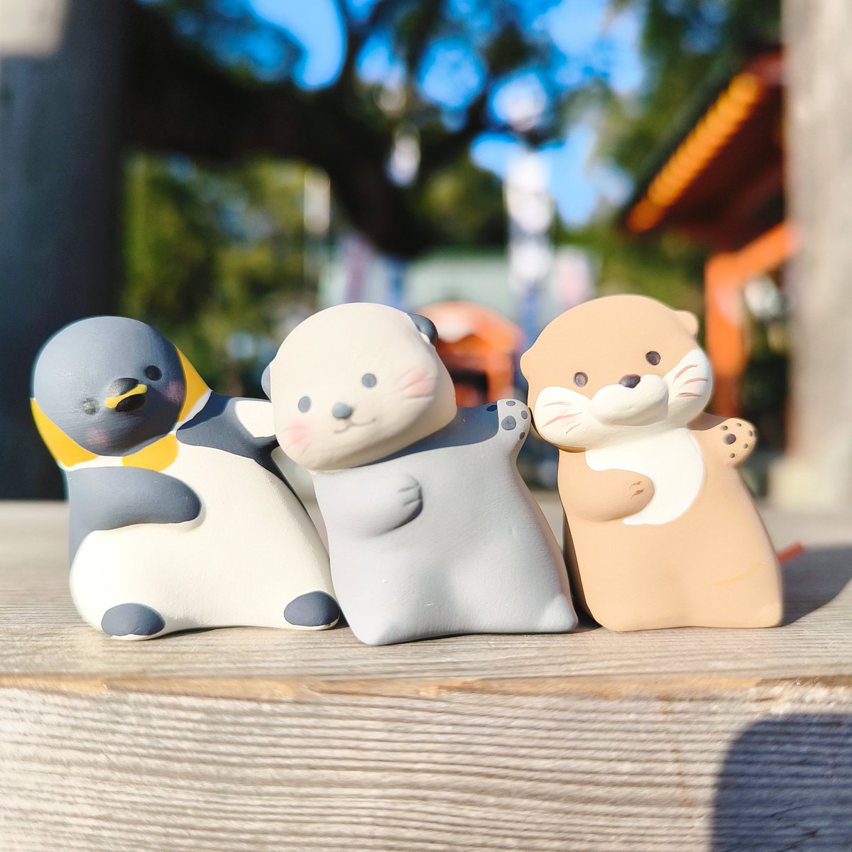 りゅうあ🦦 (@pom2purin_aqua) / Posts / X