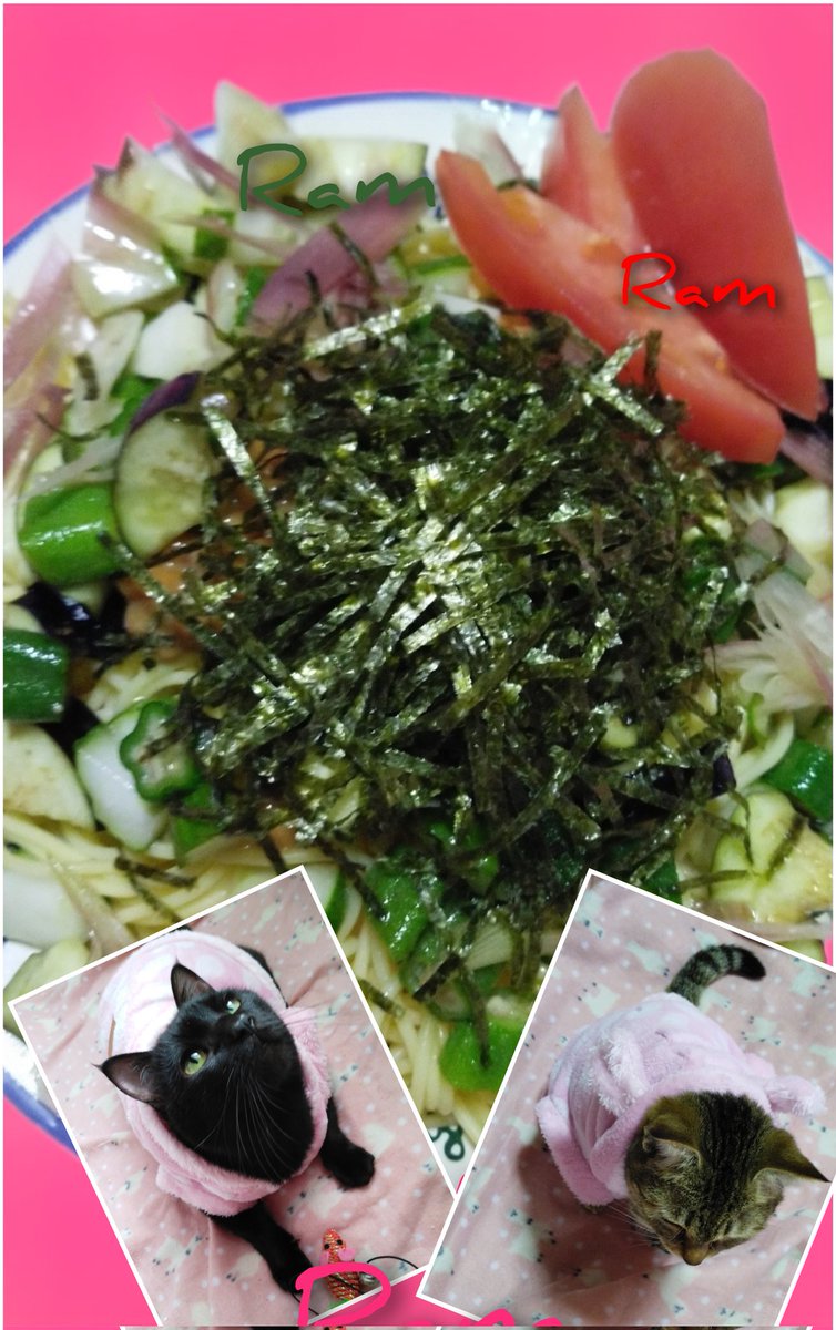 ラム肉ｯ*のラムちゃん＆ｱｸﾞﾈｽﾗﾑﾁｬﾝﾏﾑjc5(*^)♪ DJ☆KT☆99co