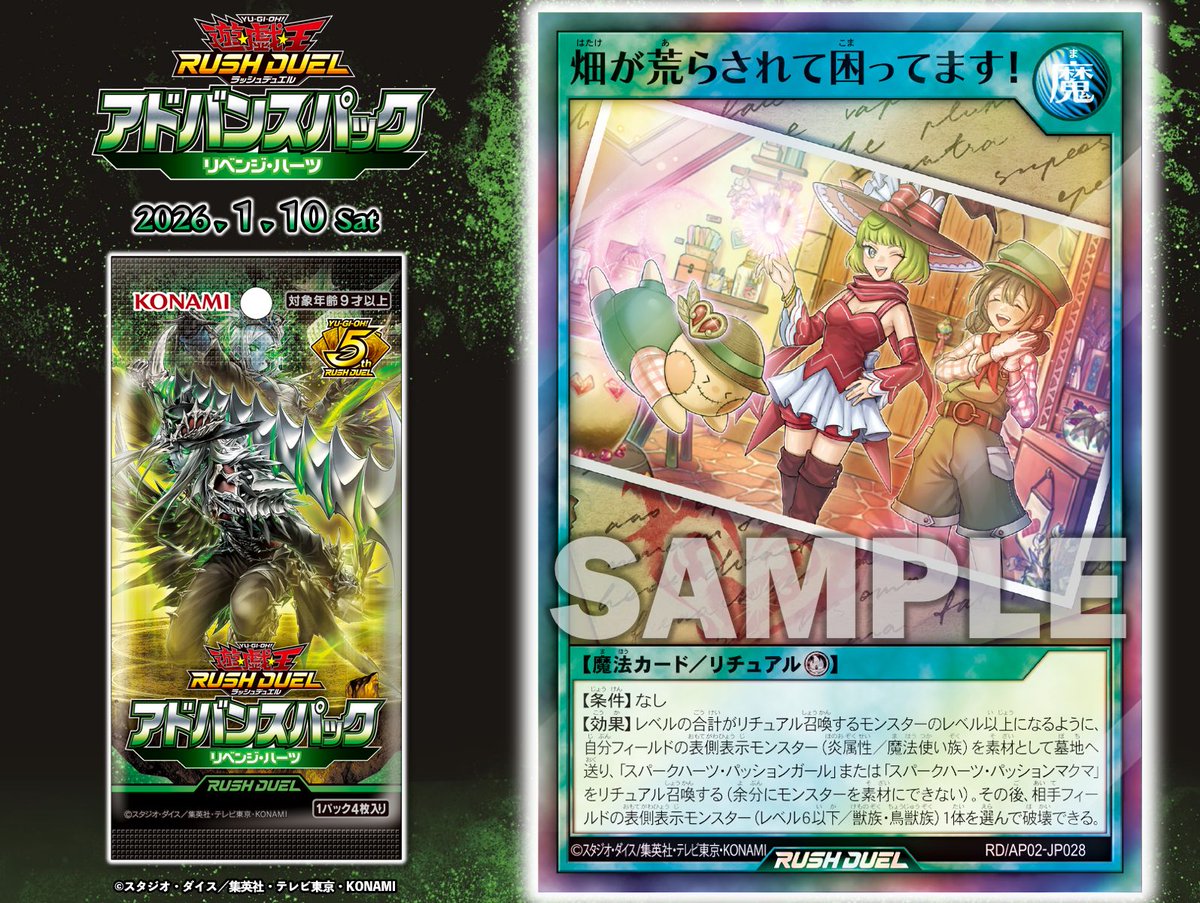 ♱☨☩┈┈┈┈┈┈ アドバンスパック リベンジ・ハーツ