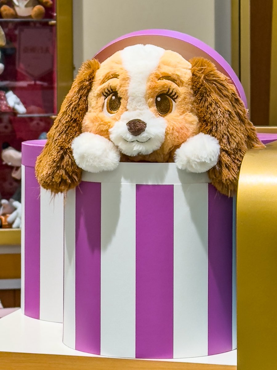 わんわん物語』公開70周年記念！ ディズニーストア 赤ちゃんレディが