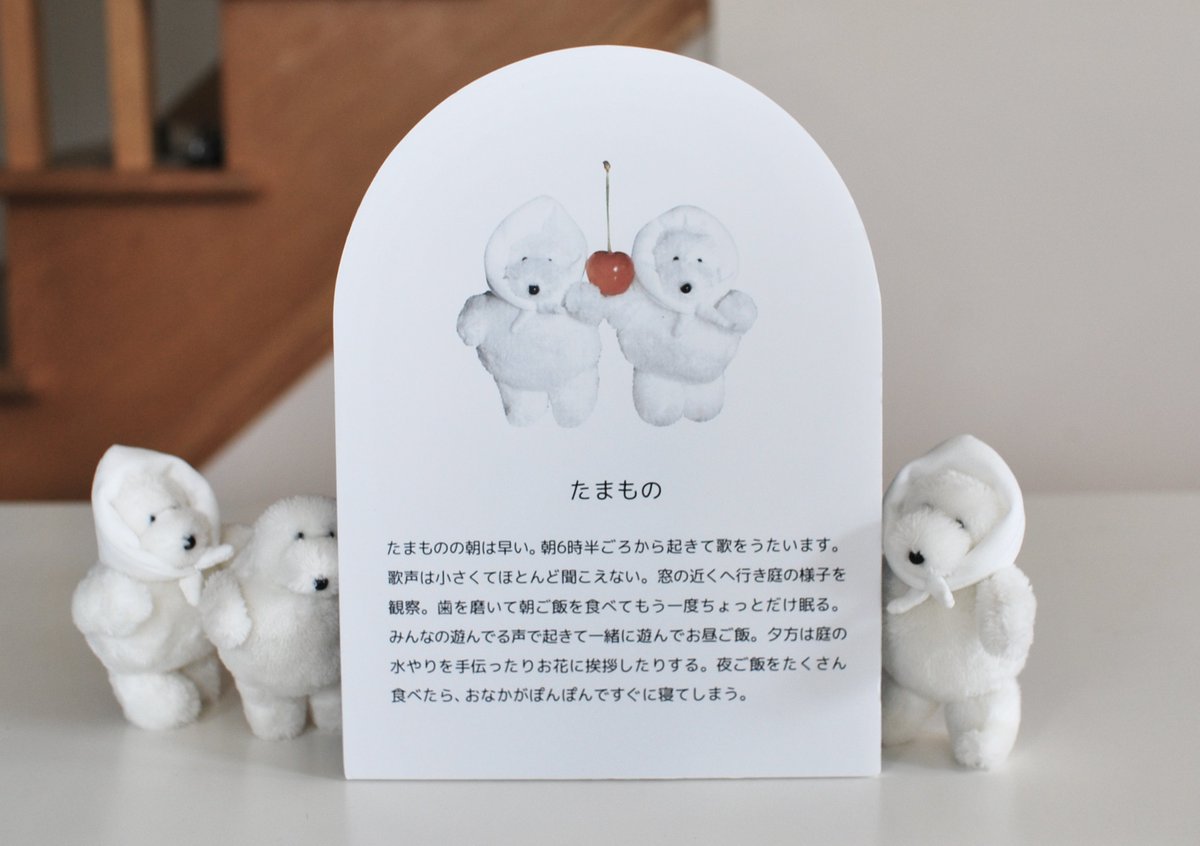 今回のぬいぐるみ達の説明パネル③