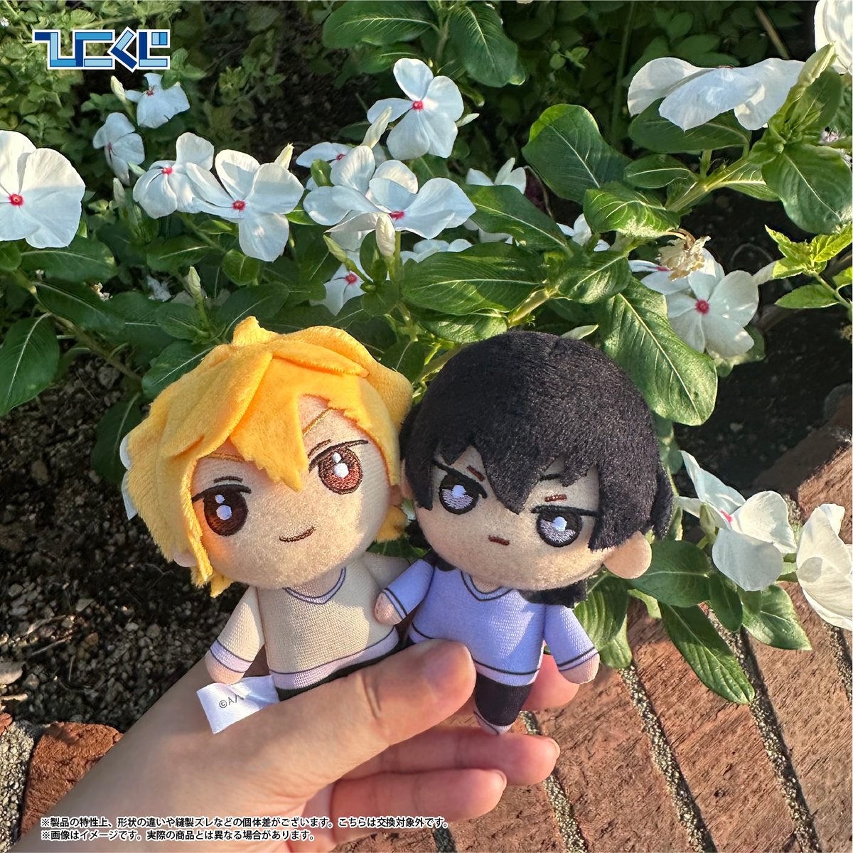 🔥2025年10月25日(土)発売🔥 #ひこくじ「#家庭教師ヒットマンREBORN