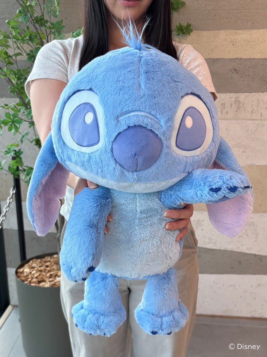 🌺 好評販売中 🌺°。 一番くじ 〈リロ＆スティッチ〉 ~のんびり