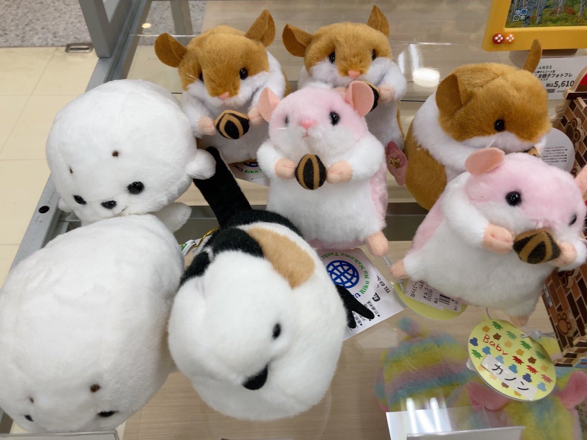 8階小樽オルゴール堂POPUP】 大好評開催中✨ 12月24日(日)までの期間