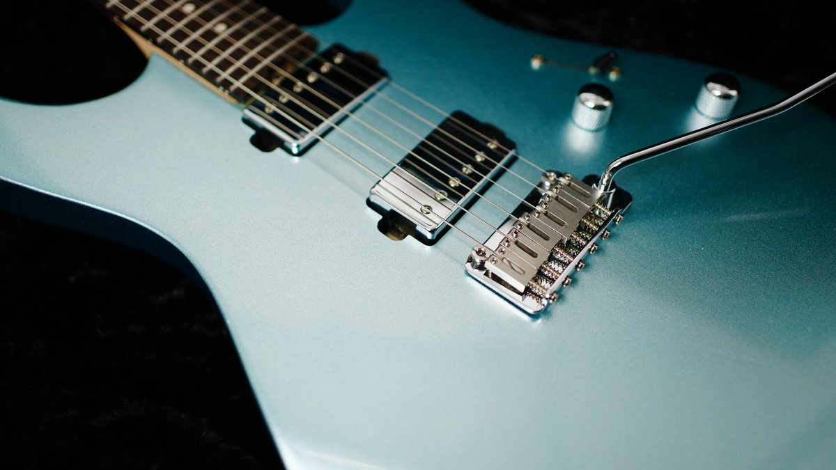 24ステンレスフレット、ホイールナットトラスロッドのバーサタイル