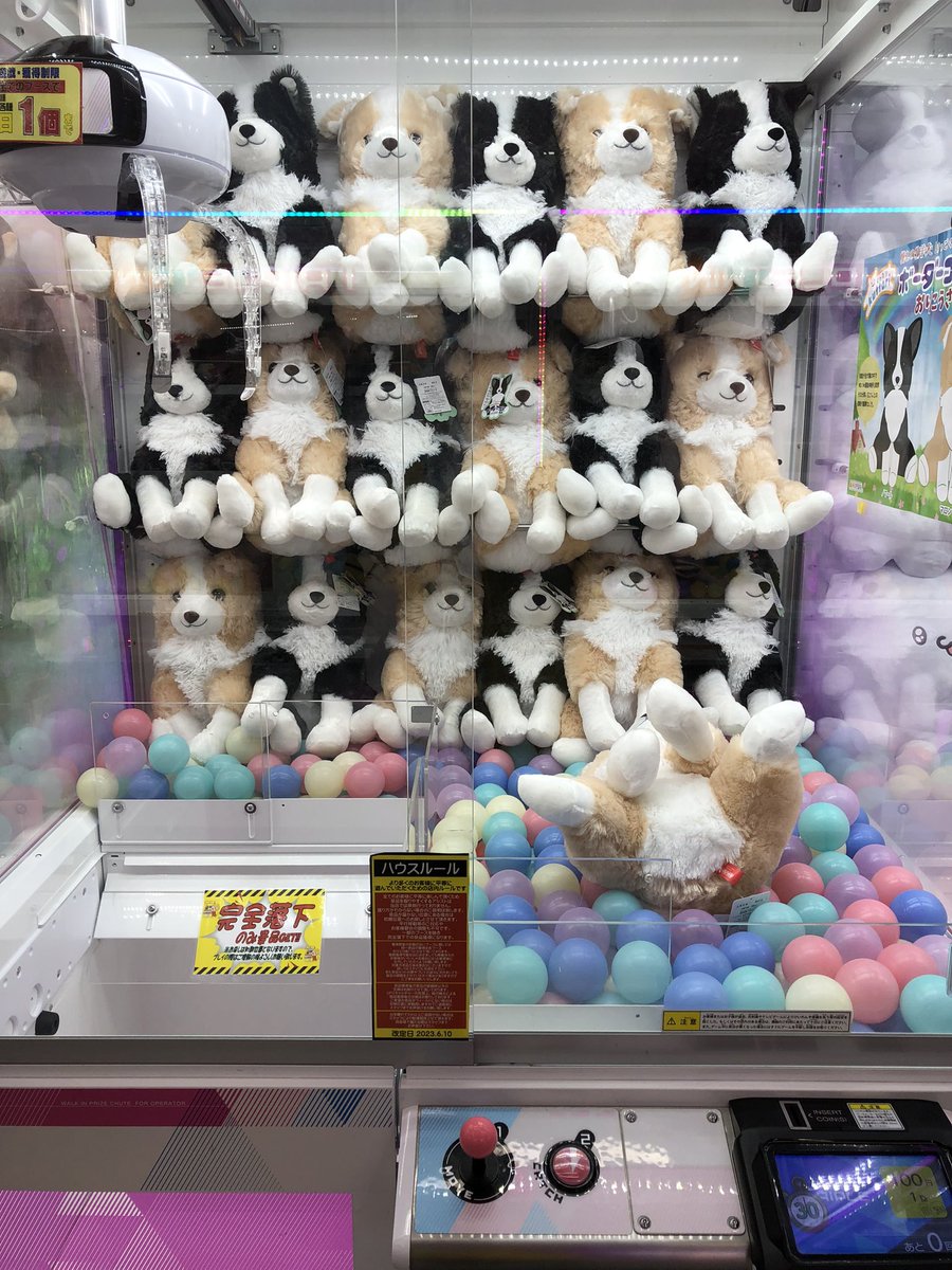 くったりボーダーコリーおりこうさんウルトラBIGぬいぐるみを入荷しま