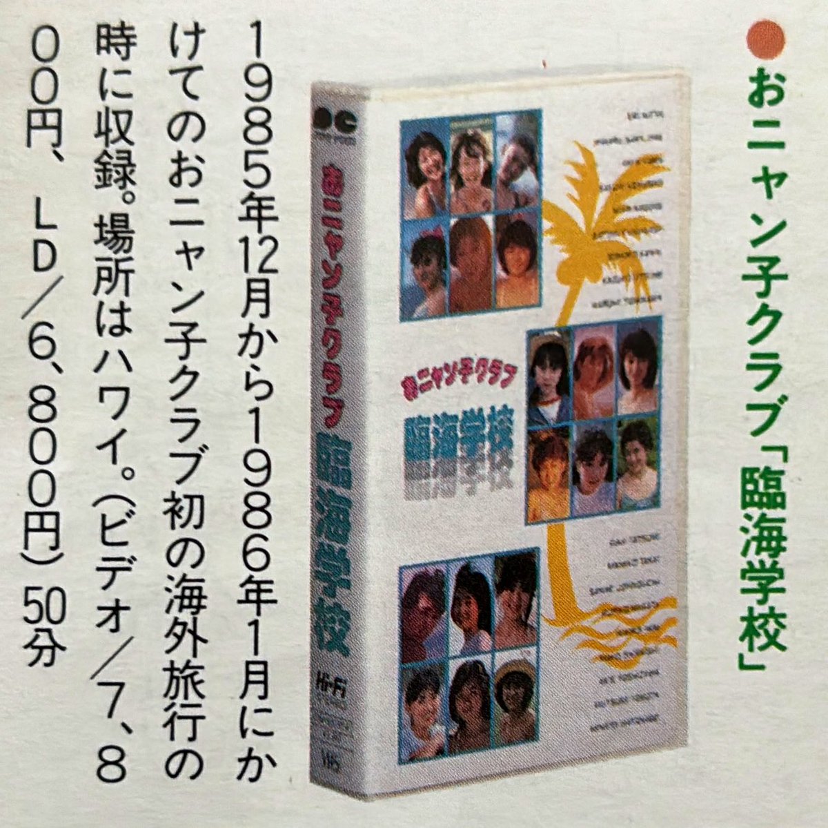 85 #おニャン子クラブ #臨海学校