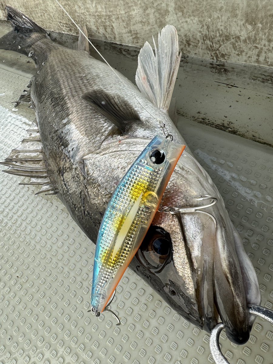 GONZO＠（hayaken) (@GONZOUDAIWA) / Posts / X