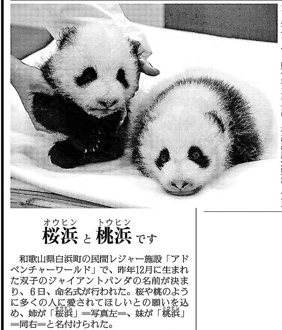 めっちゃ豪華版🐼🐼✨️