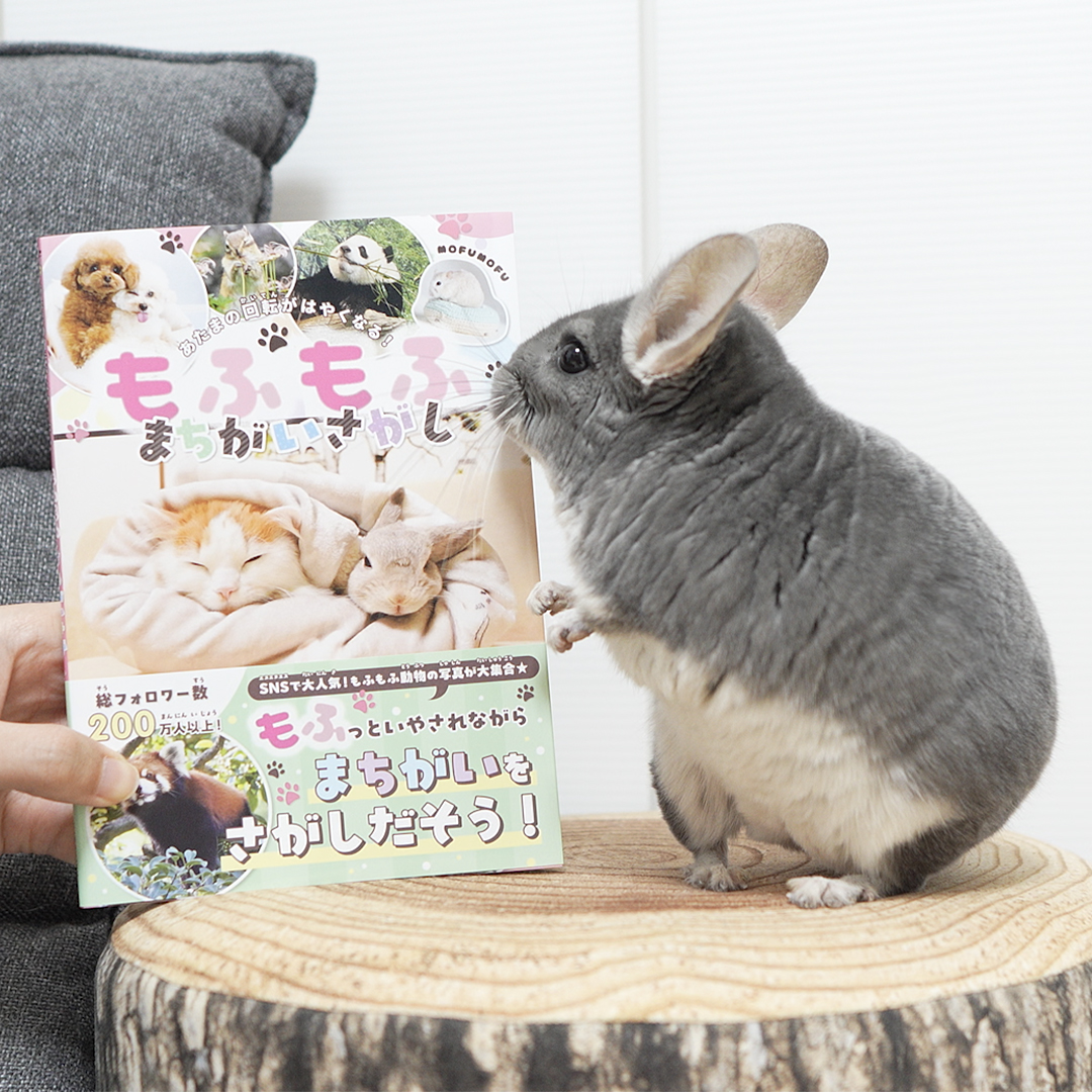 ちー＠ちーちゃんねる (@chii7_channel) / Posts / X