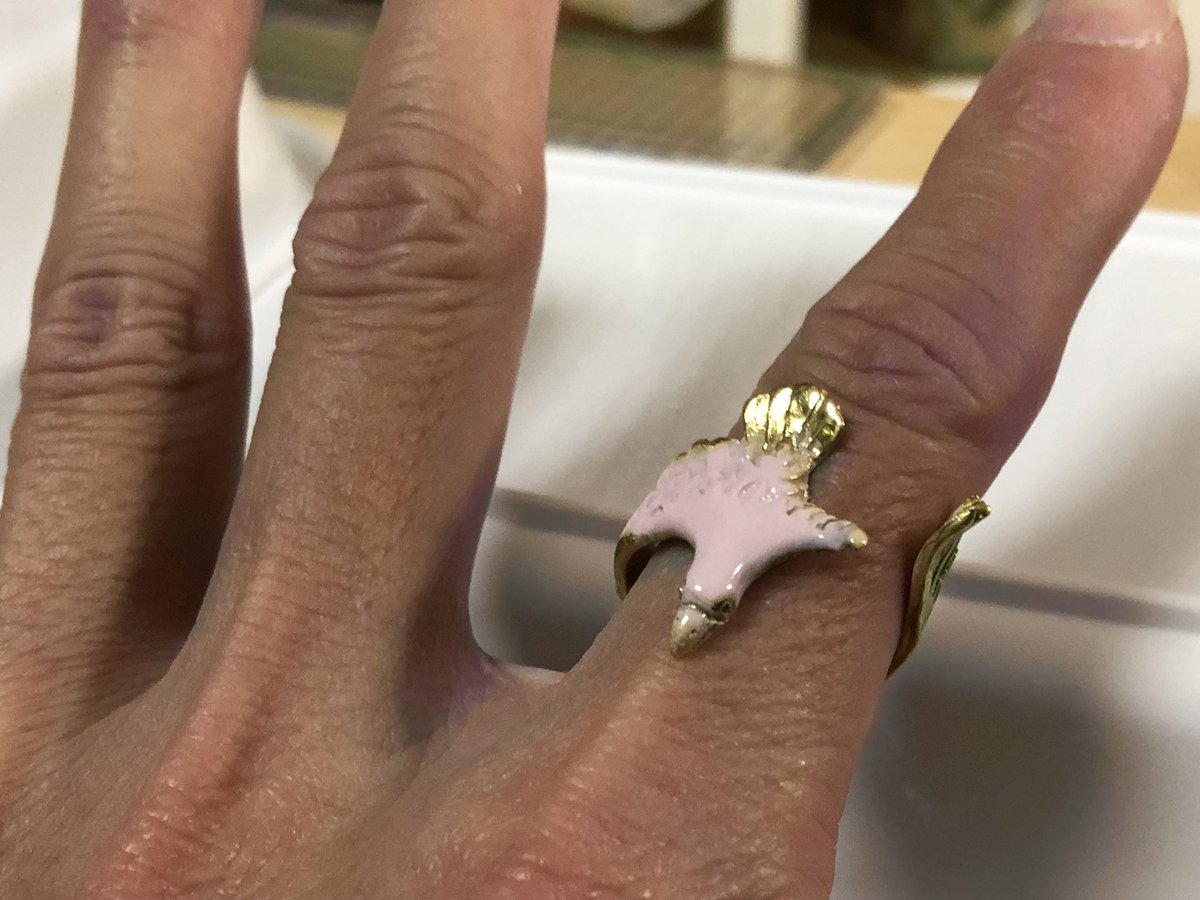 トキメキ帝国の桃色ガブリエルTokimeki Gabriel (@tokimekigabriel