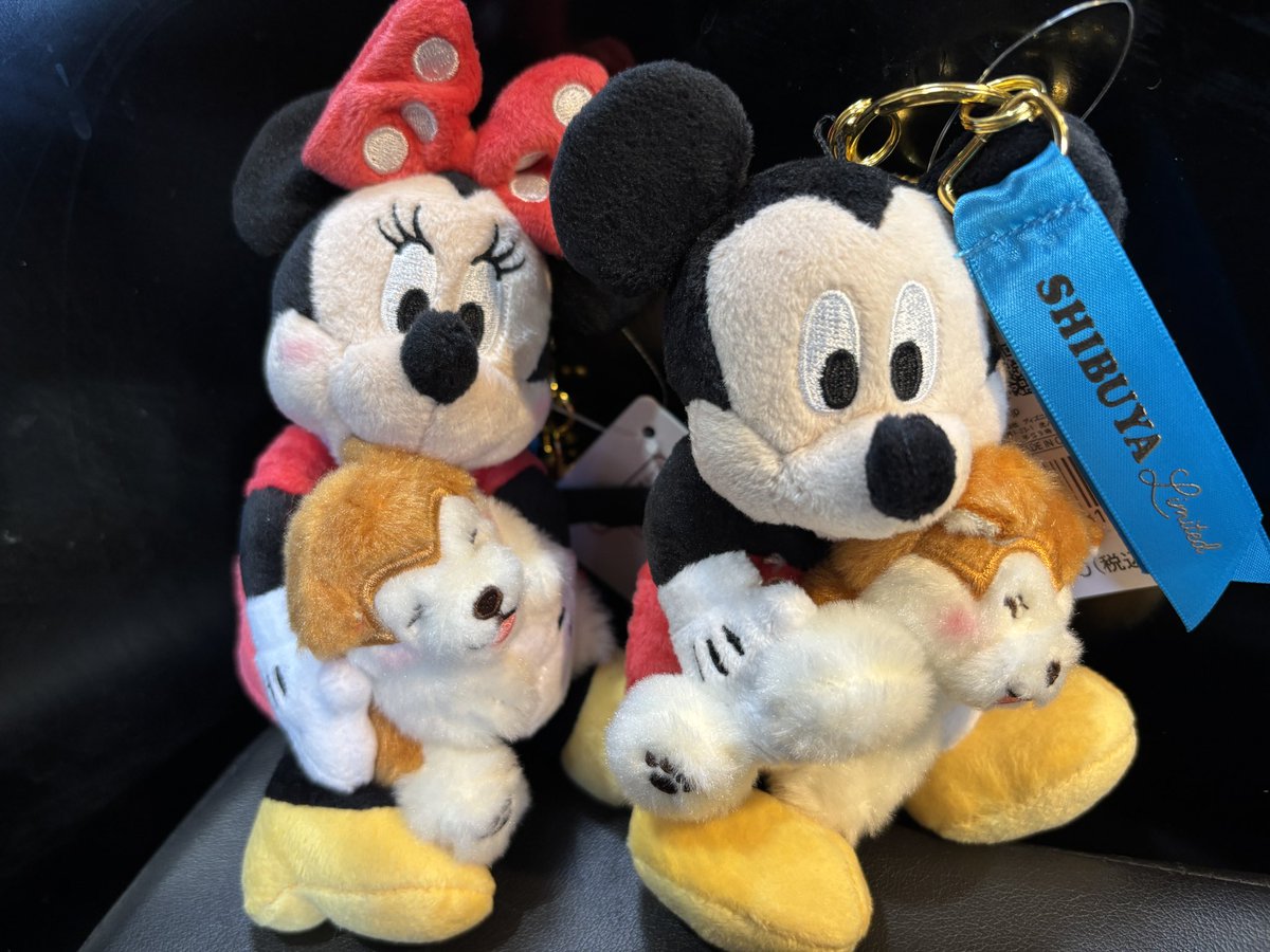 渋谷のディズニーストア限定品 ぬいぐるみにしようか迷いましたがキー