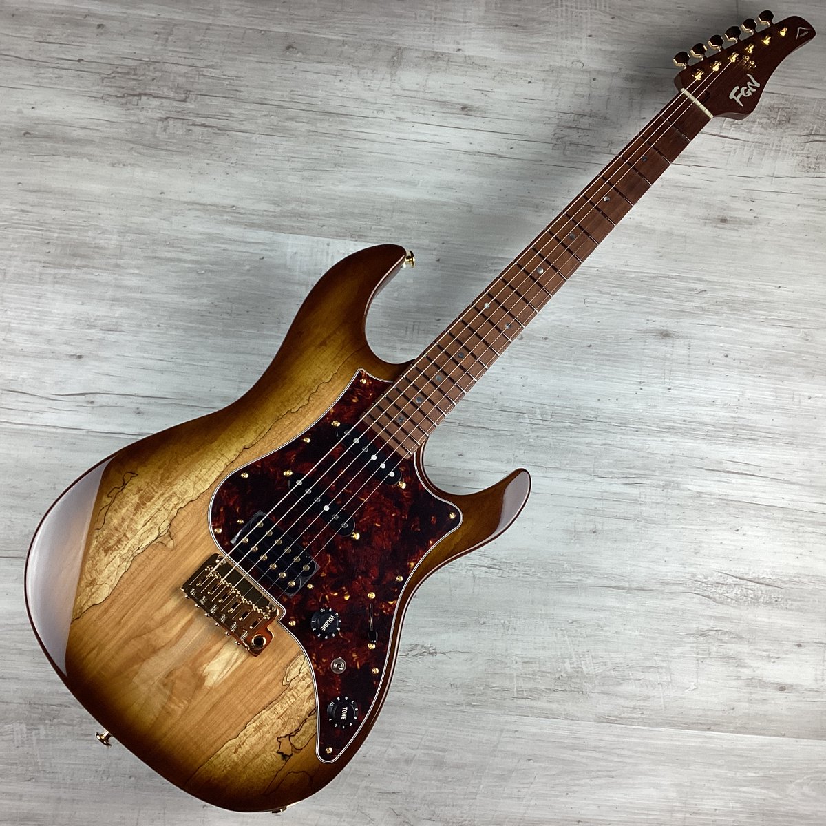 エレキギター】 今まで海外のみの取扱だったFUJIGEN(FGN) Expert