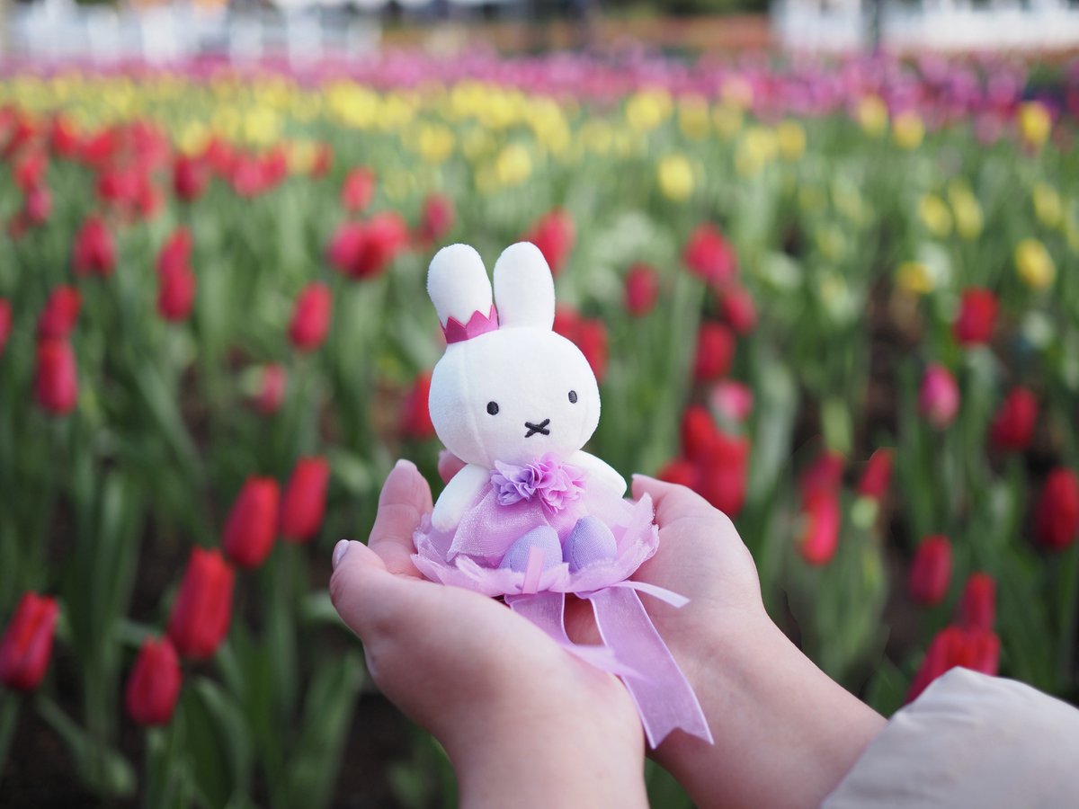 本日より販売／ 2/16(土)より新しくハウステンボスのお花をイメージ