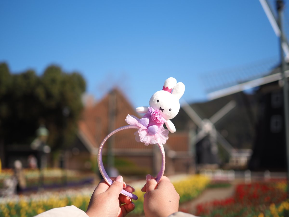 本日より販売／ 2/16(土)より新しくハウステンボスのお花をイメージ