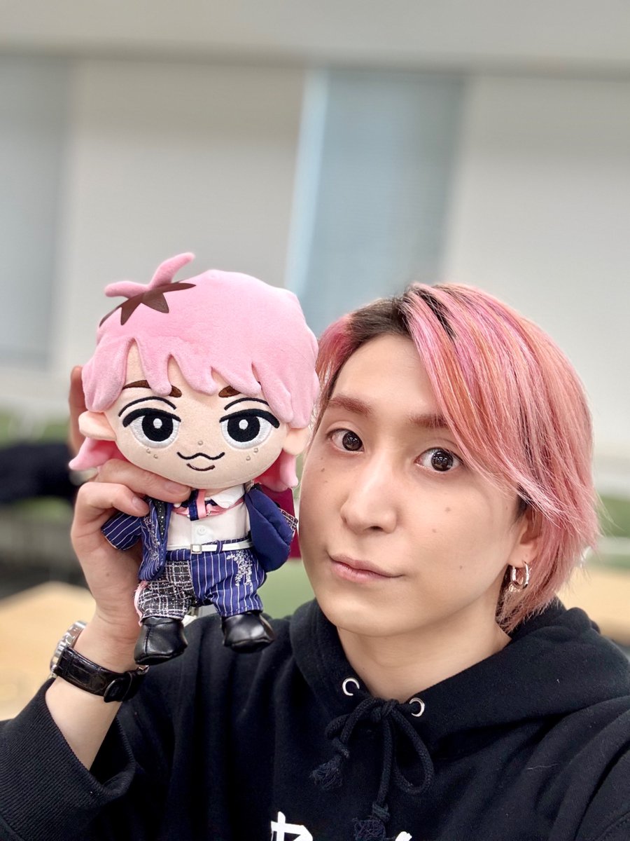 すのチルぬい（BIG） サイズ 約H210mm×W150mm×D100mm