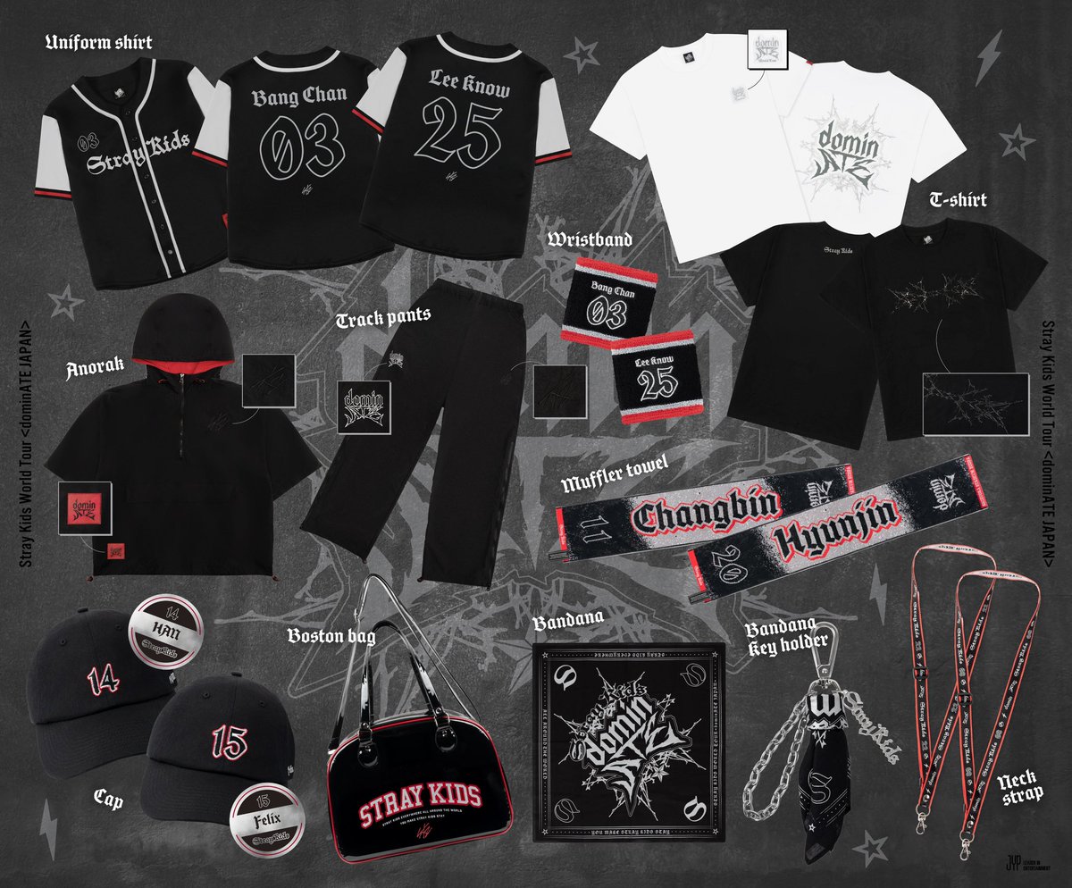 【写真追加！バラ売り不可】StrayKids グッズ まとめ売り Stray Kids | Info