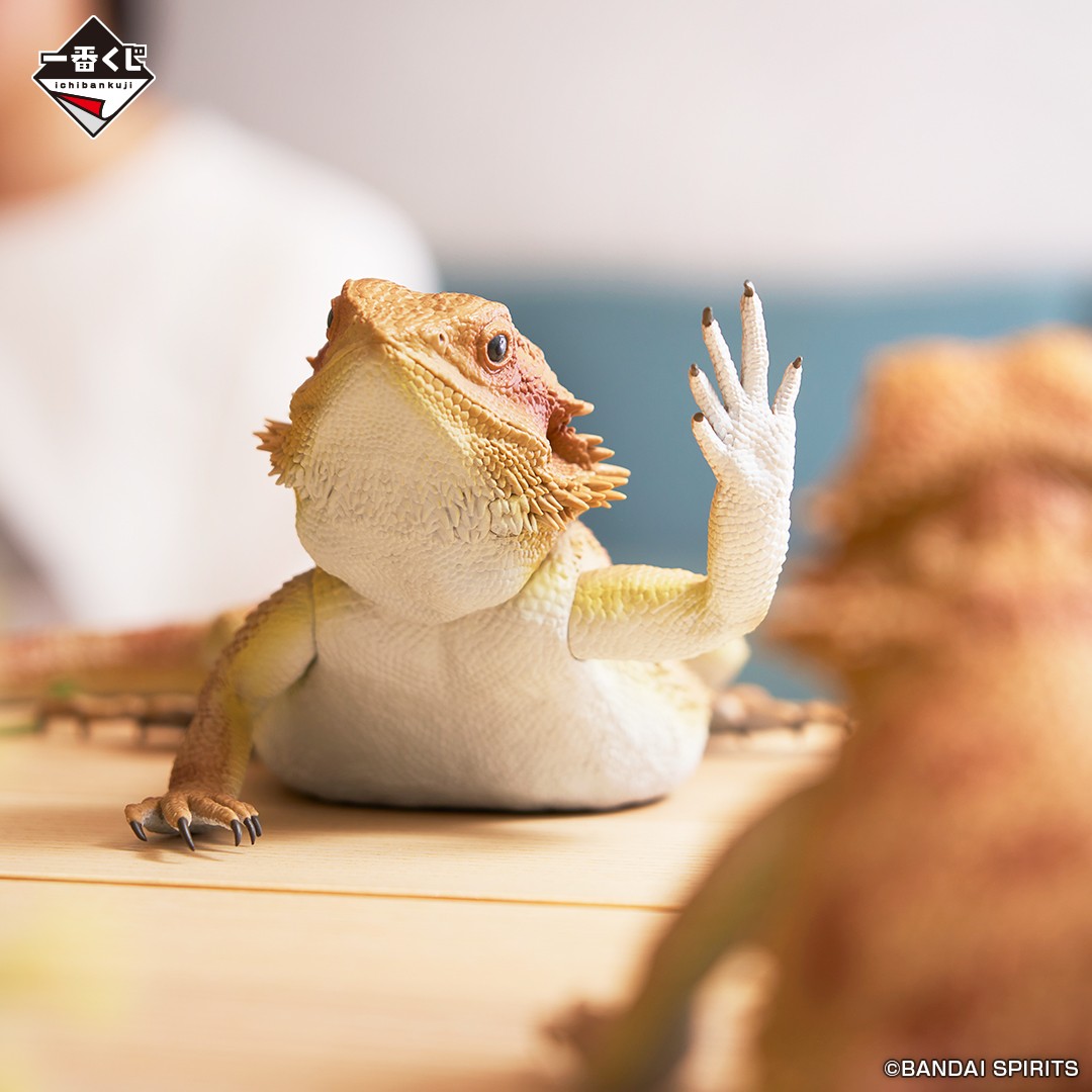 🦎🐸明日4月11日(金)より順次発売🐢🐍 一番くじ 爬虫類＆両生類～Tiny