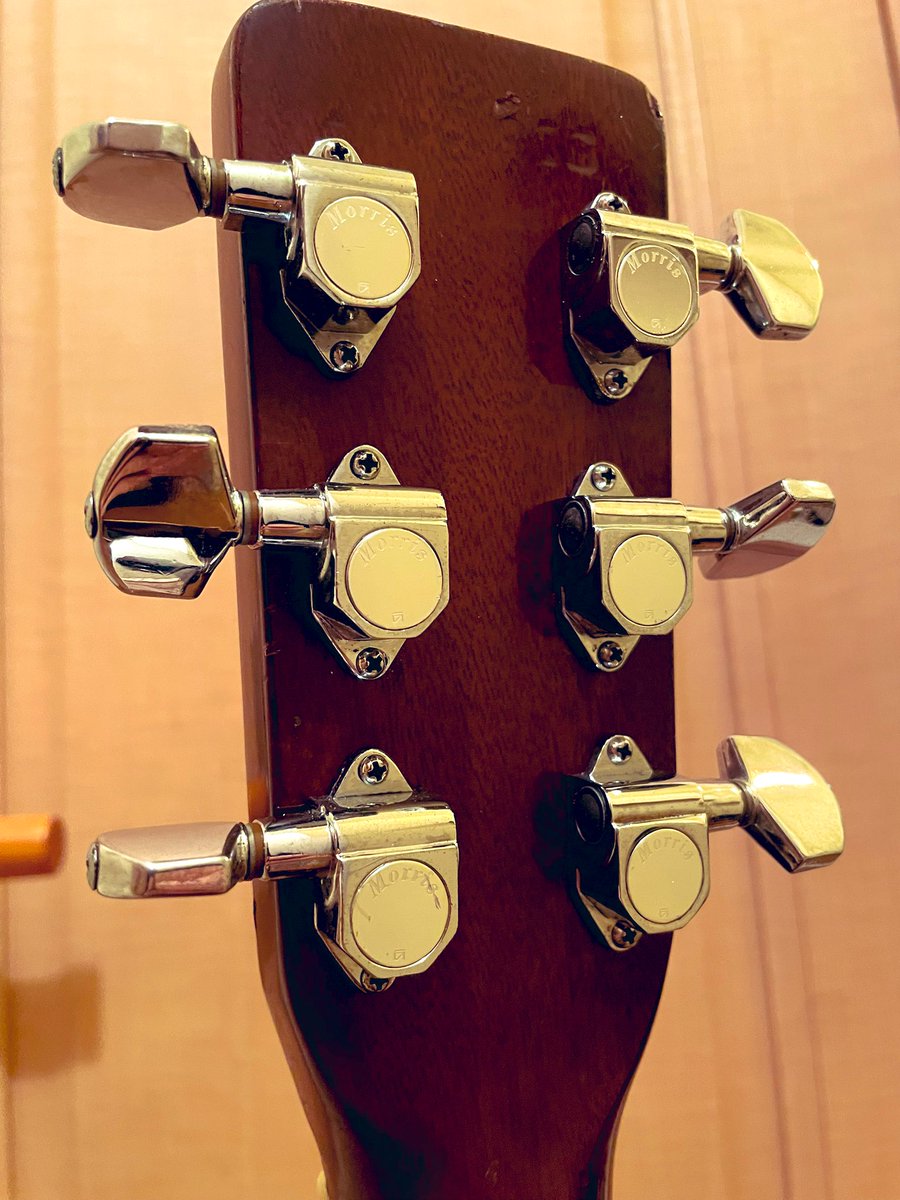 完成✨👏 推定1978年 Morris special35 ローズウッド3Pバック モーリス