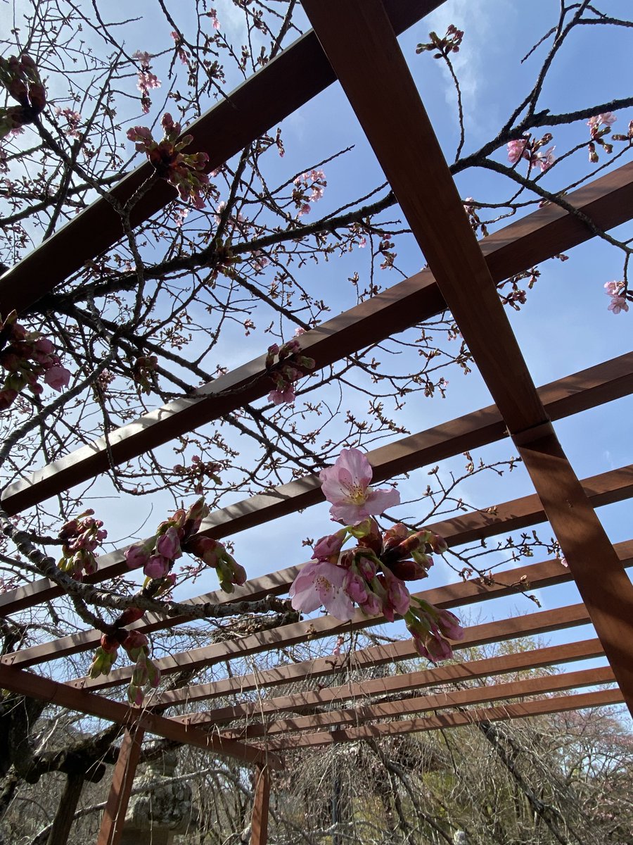 ひろりん♪ (@hirorin4649) / Posts / X