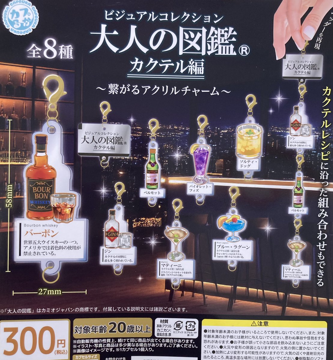 🔄2月23日再入荷情報🔄 ✔︎ ビジュアルコレクション 大人の図鑑