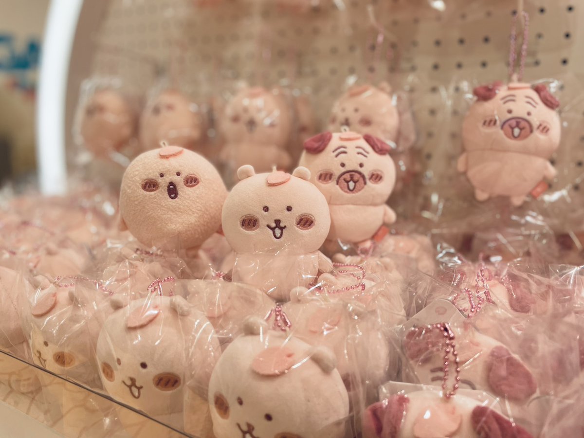 ナガノマーケットSHOP公式 (@nagano_mkt_shop) / Posts / X