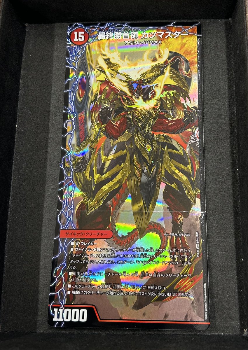 勝首領龍カツドン