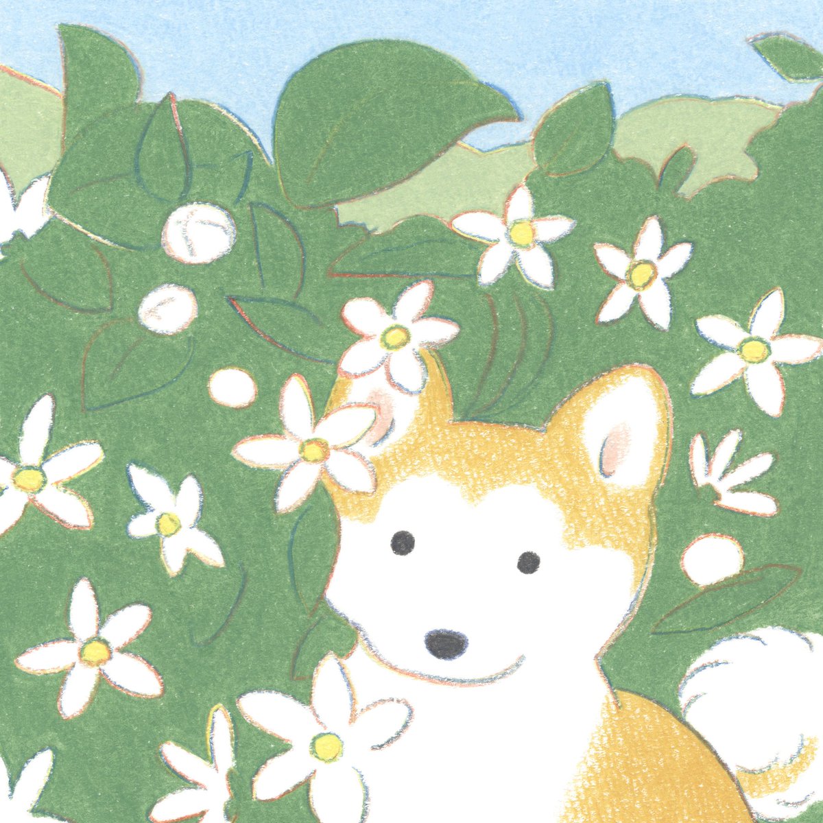 てらおかなつみ (@teraoka_natsumi) / Highlights / X