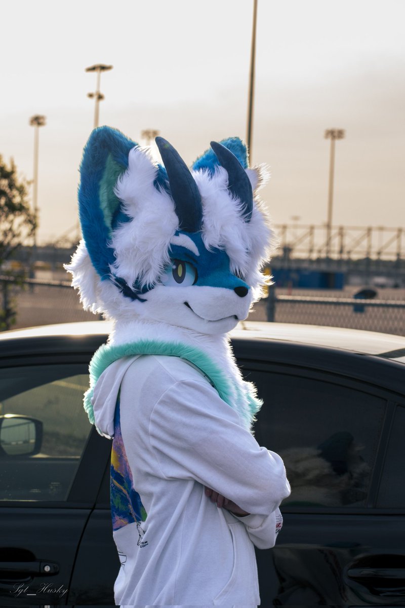 Happy Valentines Day #FursuitEveryday #furmony