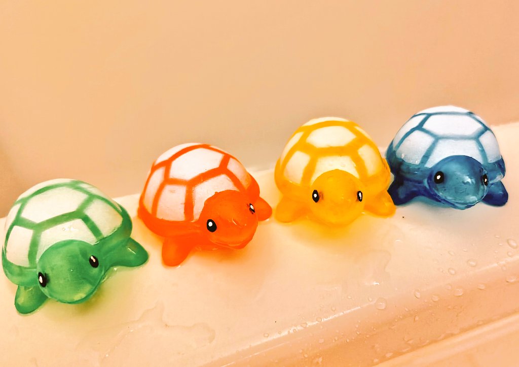 予定はめちゃくちゃでしたが、目的は無事達成🐢🐢🐢 これで暖かくなっ